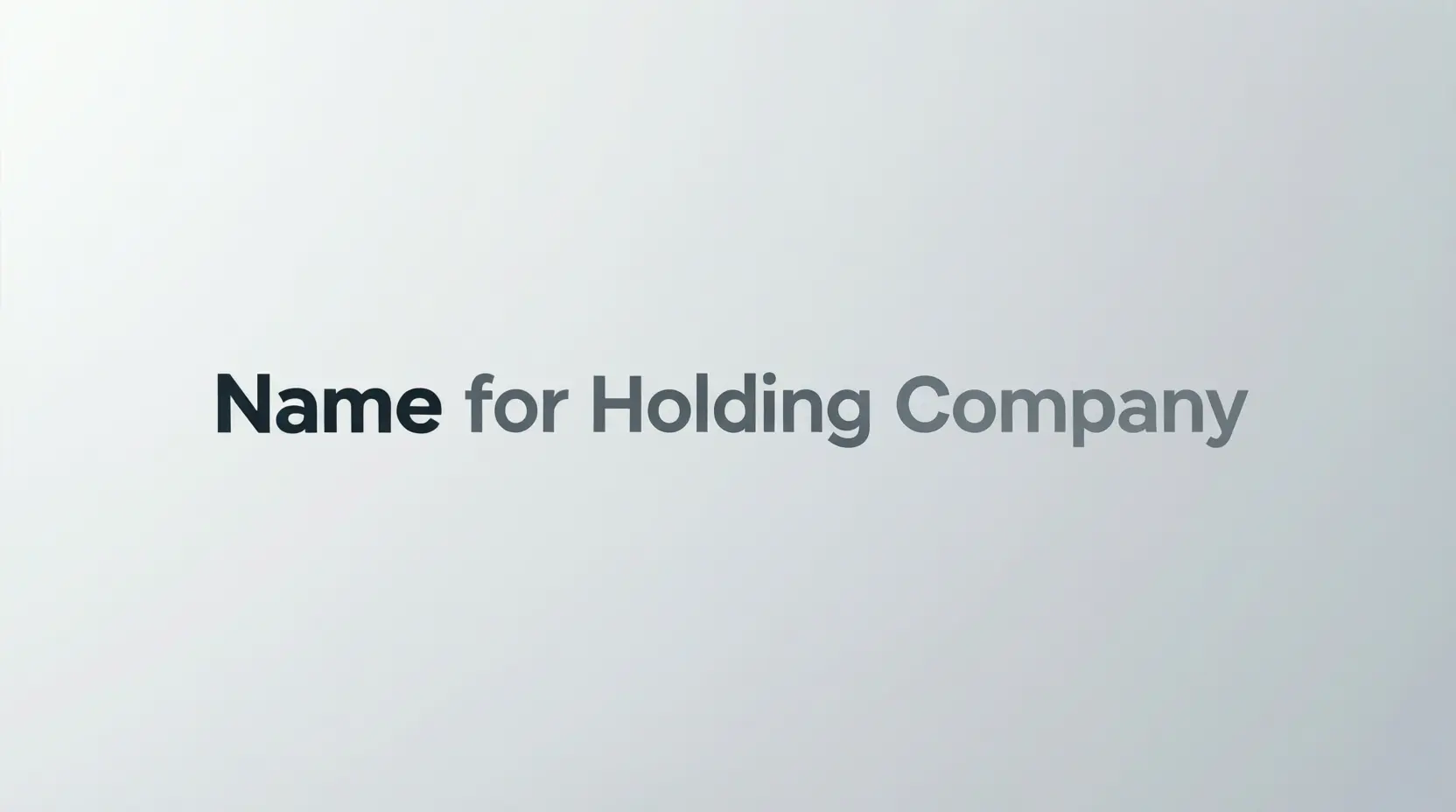 Name for Holding Company